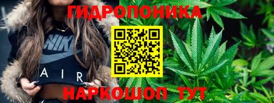 эйфоретик Бузулук