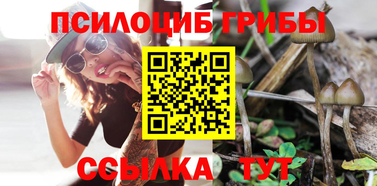 Янаул  купить   Вход с VPN  Псилоцибиновые грибы Cubensis 